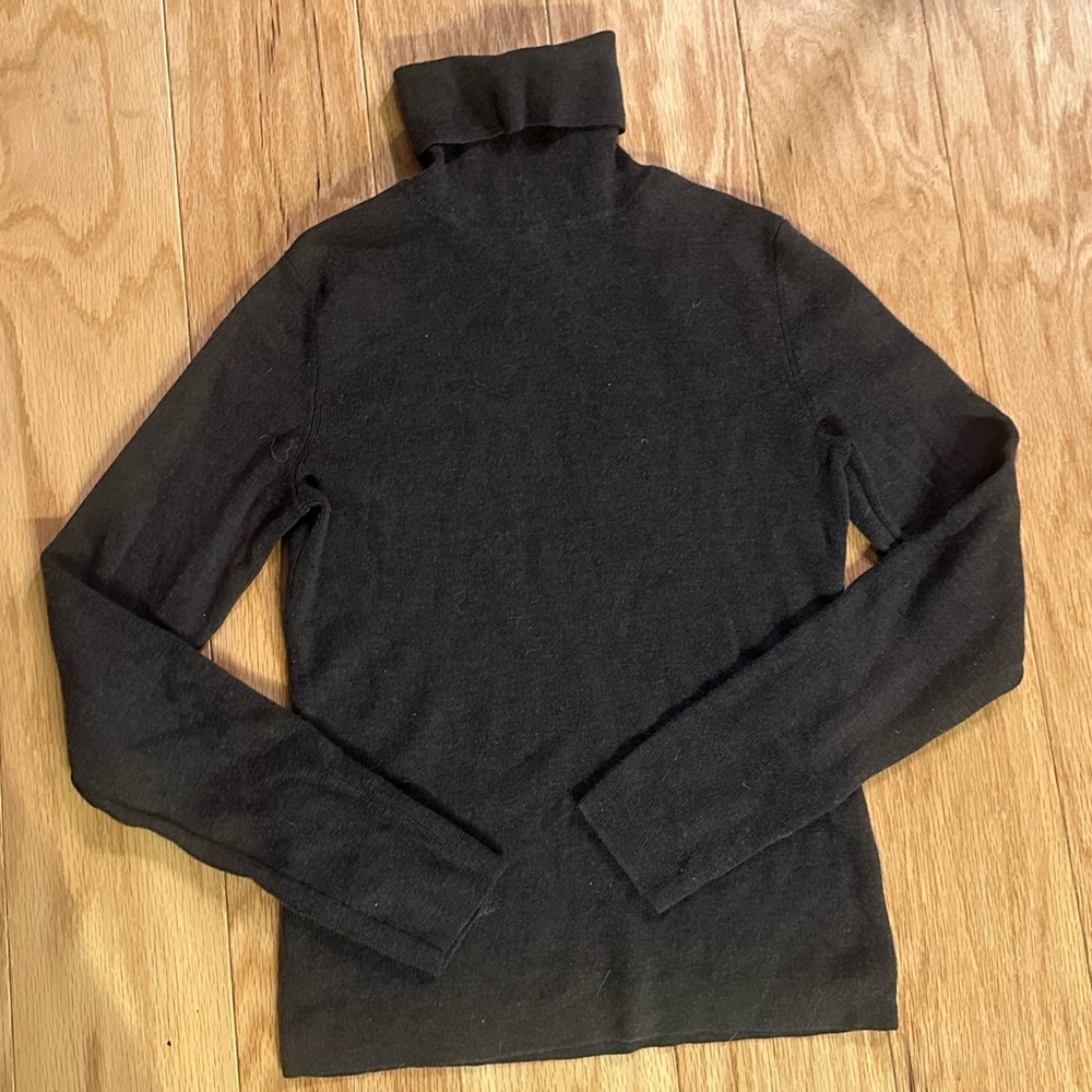Banana Republic 100% Extra Fine Merino Wool Turtleneck Sweater